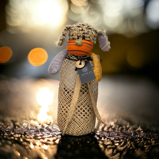 The Amos Mini